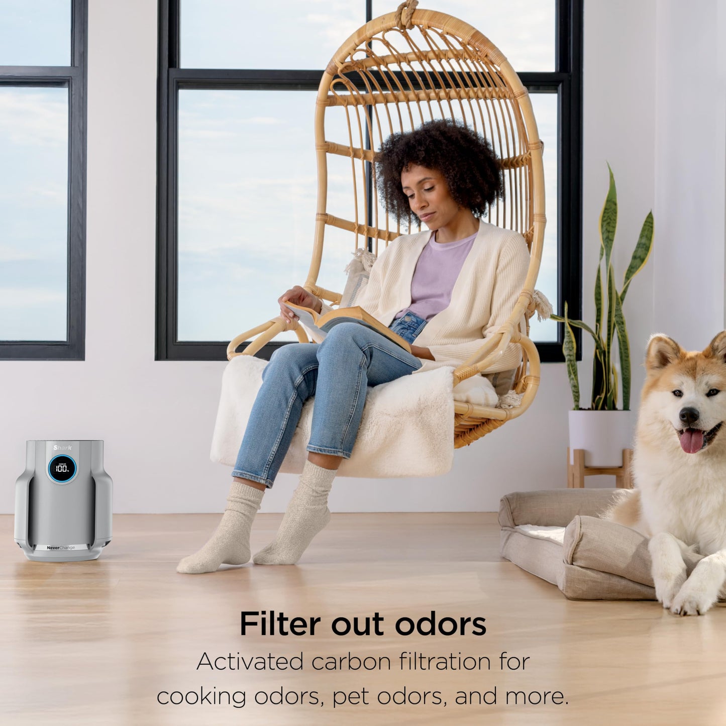 Shark NeverChange Compact Pro Air Purifier – Long-Lasting HEPA Filtration for Dust, Smoke, Allergies & Pets, Up to 250 sq ft, HP071BRN